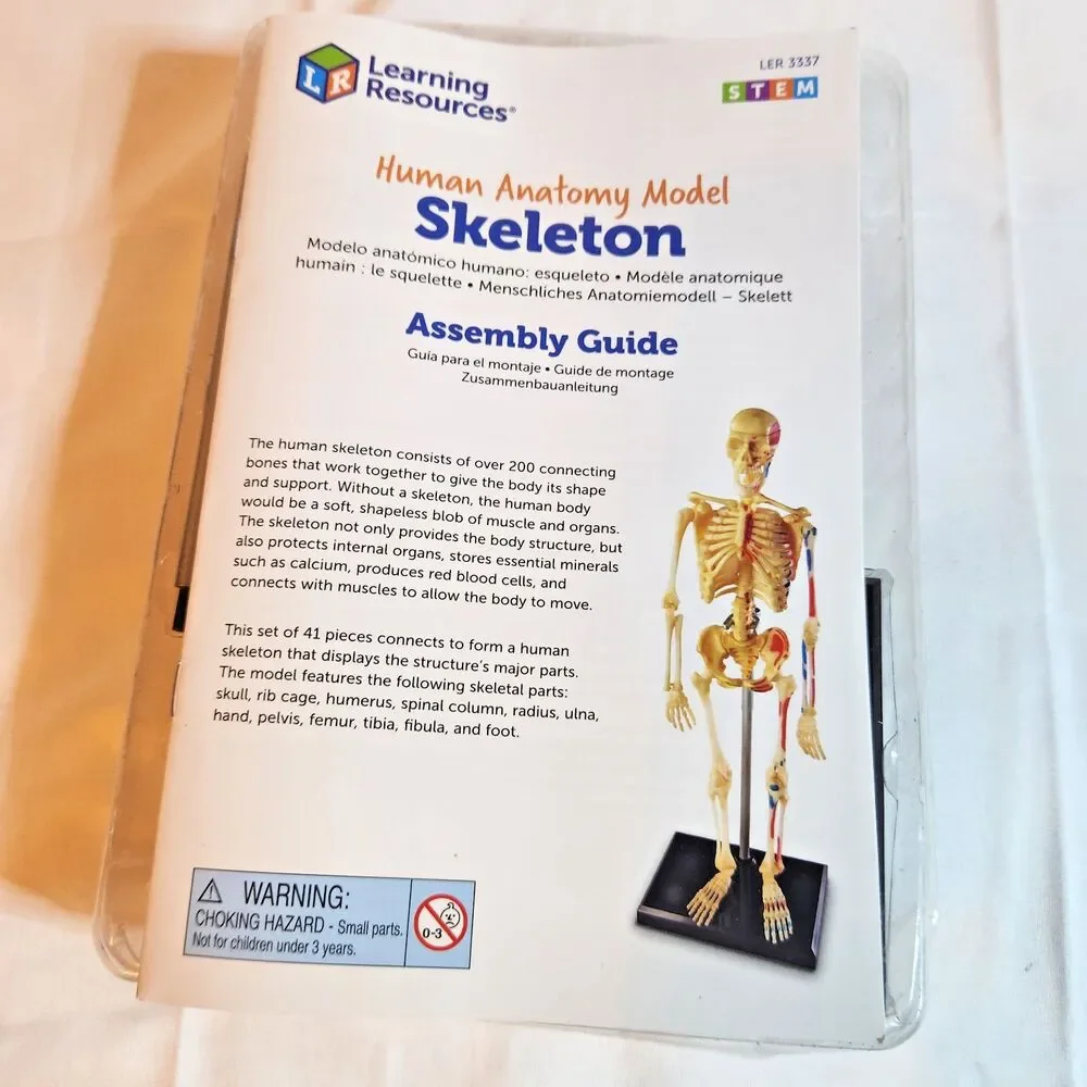 Learning Resources Mini Skeleton Model 9.2